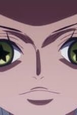 One Piece Season 22 Episode 1110