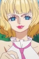 One Piece Season 22 Episode 1105