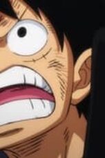 One Piece Season 21 Episode 1005