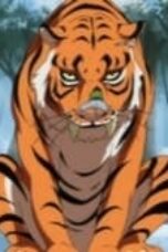 One Piece Season 13 Episode 499