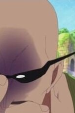 One Piece Season 6 Episode 178