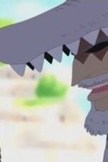 One Piece Season 6 Episode 195