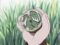 One Piece Season 1 Episode 58