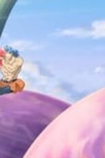 One Piece Season 13 Episode 492