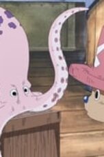 One Piece Season 7 Episode 207