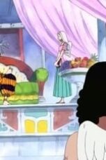 One Piece Season 6 Episode 169