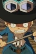 One Piece Season 13 Episode 495