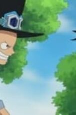 One Piece Season 13 Episode 494