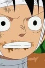 One Piece Season 13 Episode 507