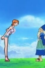 One Piece Season 13 Episode 453