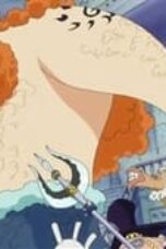 One Piece Season 14 Episode 533
