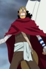 One Piece Season 9 Episode 309