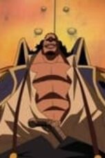 One Piece Season 13 Episode 501