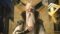 The Great Ruler Season 2 Episode 16